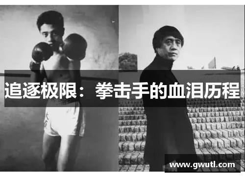 追逐极限：拳击手的血泪历程